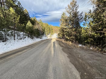 1534 Roland Dr, Bailey, CO 80421