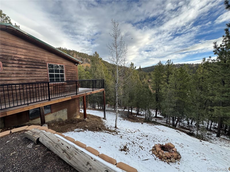 1534 Roland Dr, Bailey, CO 80421