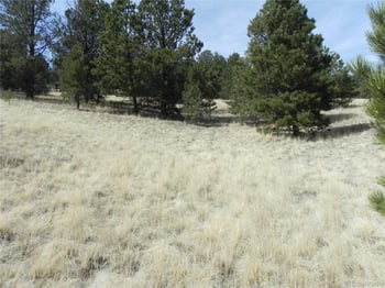 1058 Monarch Dr, Cripple Creek, CO 80813