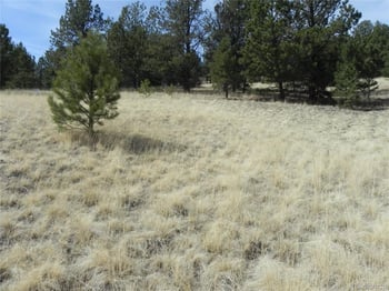 1058 Monarch Dr, Cripple Creek, CO 80813