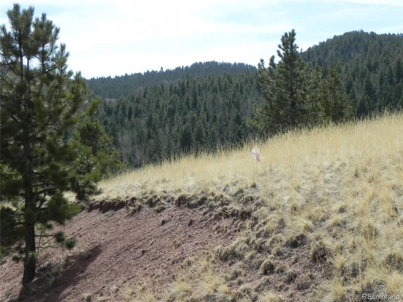 1058 Monarch Dr, Cripple Creek, CO 80813