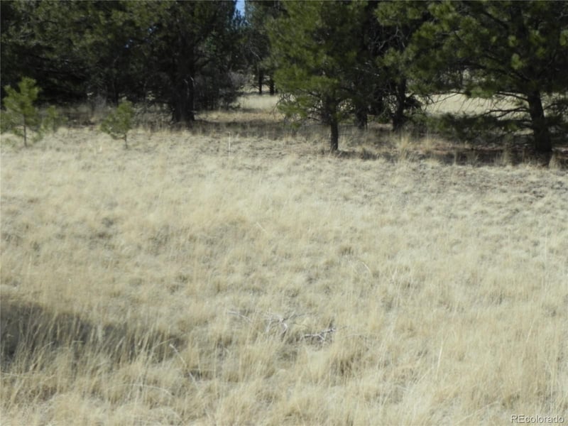 1058 Monarch Dr, Cripple Creek, CO 80813