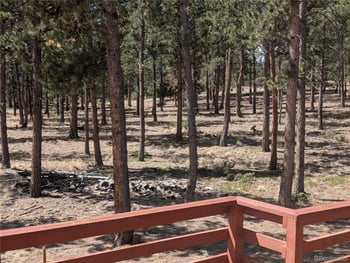 107 Ox Yoke Ln, Bailey, CO 80421