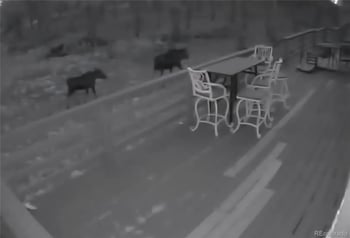 107 Ox Yoke Ln, Bailey, CO 80421