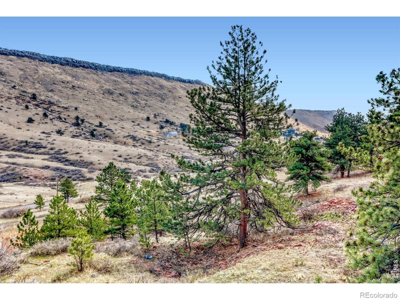 2901 Stone Canyon Rd, Lyons, CO 80540