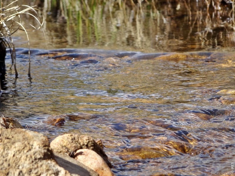 7498 Ottawa Way, Red Feather Lakes, CO 80545