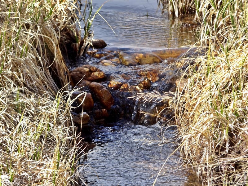 7498 Ottawa Way, Red Feather Lakes, CO 80545