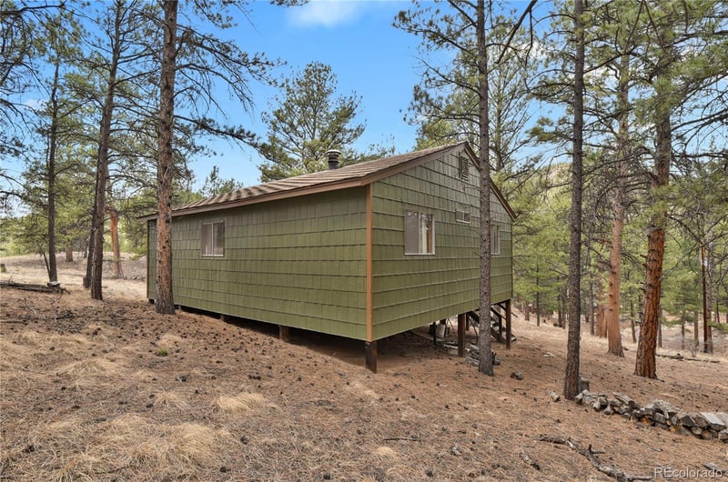 80 Crystal Ln, Lake George, CO 80827