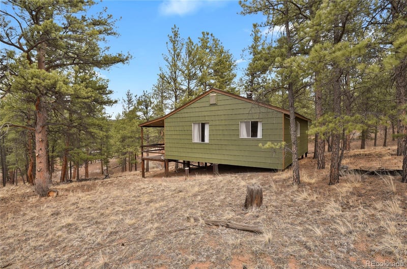 80 Crystal Ln, Lake George, CO 80827