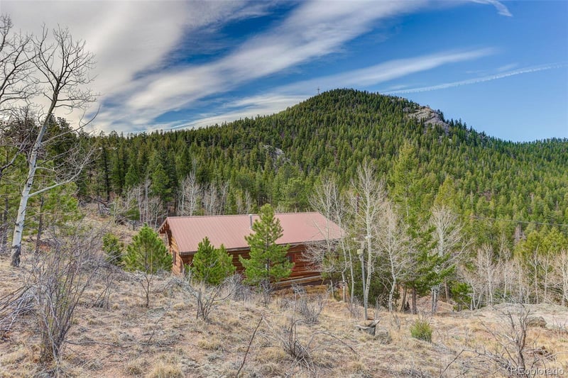 626 Aspen Ln, Bailey, CO 80421