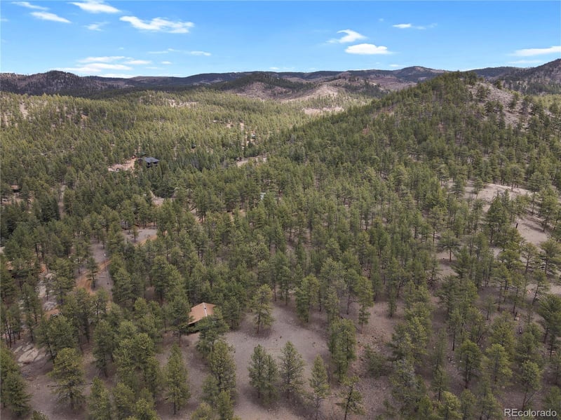 88 Crystal Ln, Lake George, CO 80827