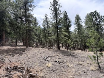 88 Crystal Ln, Lake George, CO 80827