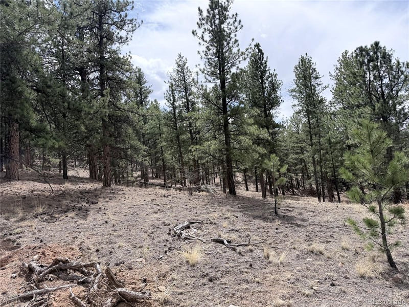 88 Crystal Ln, Lake George, CO 80827