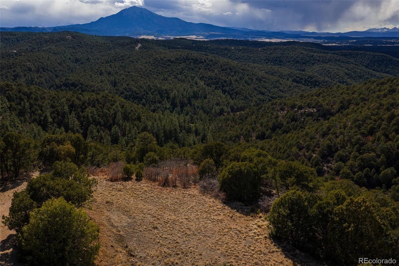 84 North Mountain, Walsenburg, CO 81089