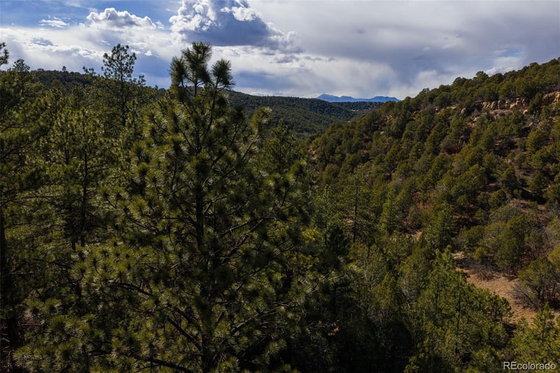 84 North Mountain, Walsenburg, CO 81089