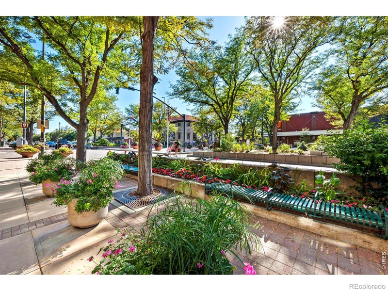 204 Maple St #208, Fort Collins, CO 80521