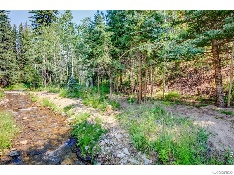 1142 Streamside Dr, Glen Haven, CO 80532