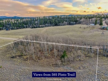593 Pinto Trl, Como, CO 80432