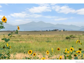 1 Cr 19 , Fort Collins, CO 80524