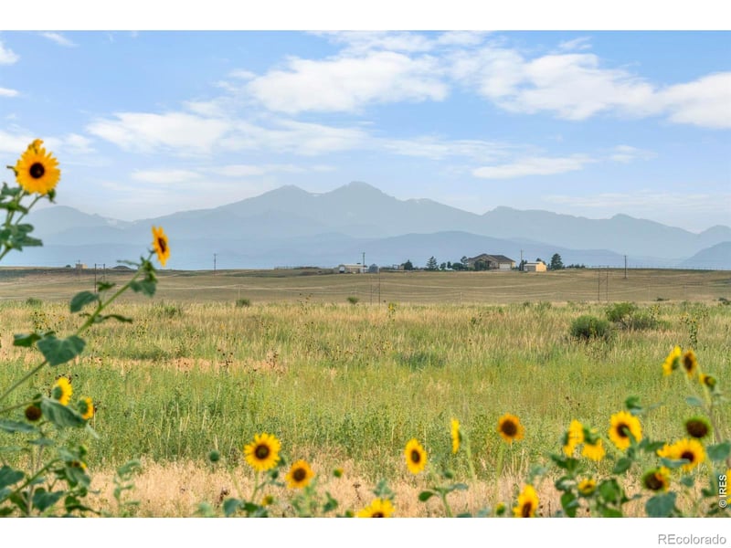 1 Cr 19 , Fort Collins, CO 80524