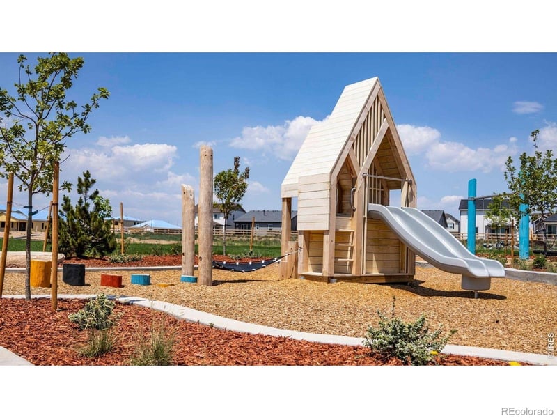 873 Trumpet Ln, Windsor, CO 80550