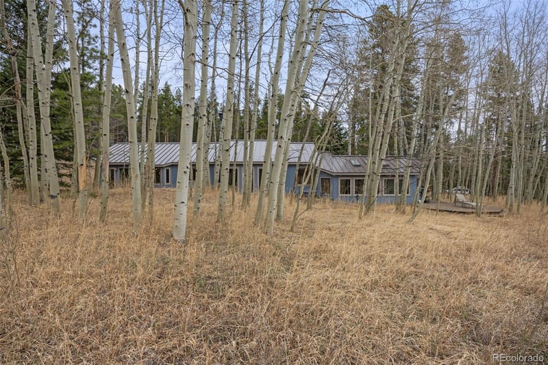 438 N County Rd, Rollinsville, CO 80474