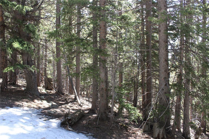 00 Miners Mesa Rd, Black Hawk, CO 80422