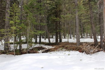 00 Miners Mesa Rd, Black Hawk, CO 80422