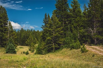 5347 Monitor , Leadville, CO 80461