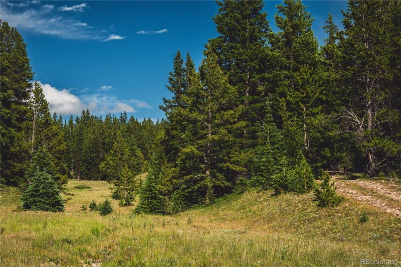 5347 Monitor , Leadville, CO 80461