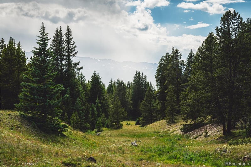 5347 Monitor , Leadville, CO 80461