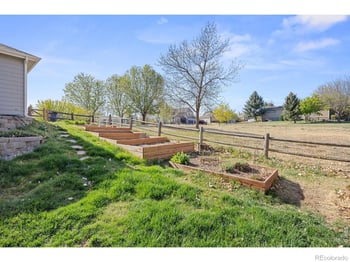 676 Trappers Pl, Windsor, CO 80550