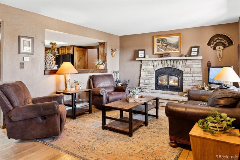 96 County Road 7, Fairplay, CO 80440