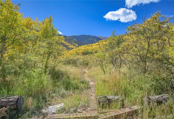 1331 Panadero Ave #404, La Veta, CO 81055