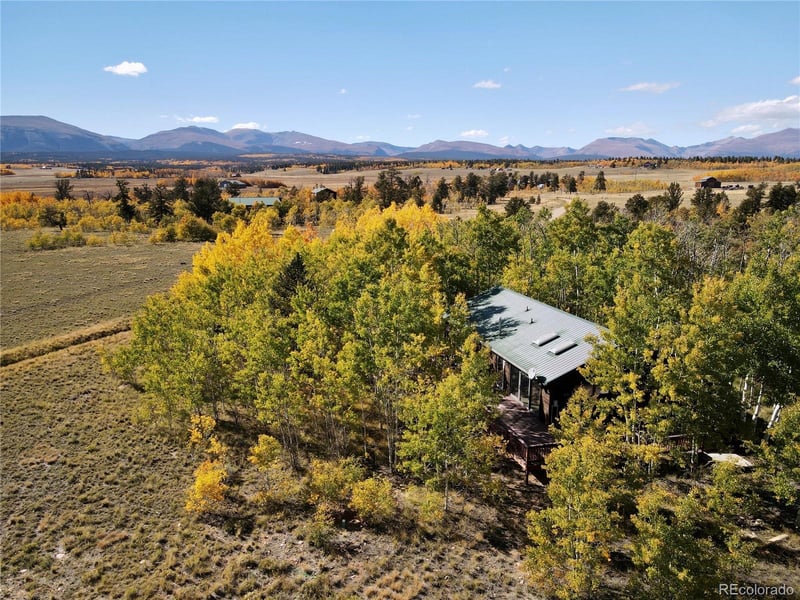 318 Foxtail Ln, Fairplay, CO 80440