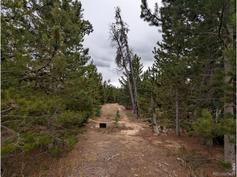 44 Catamount Ct, Red Feather Lakes, CO 80545