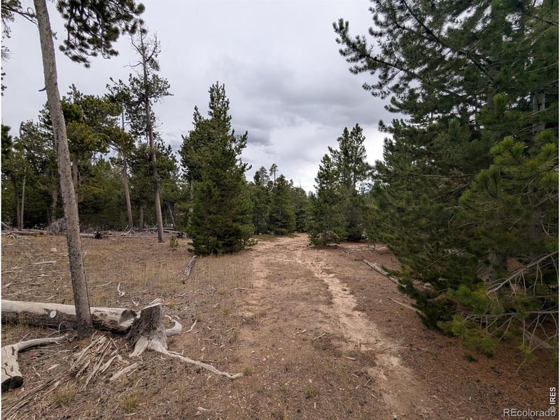 44 Catamount Ct, Red Feather Lakes, CO 80545