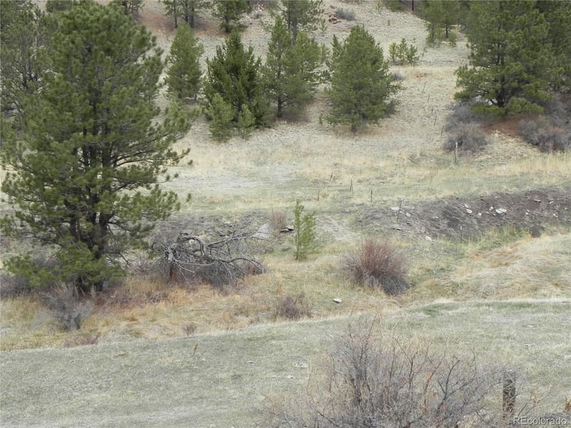 521 Monarch Dr, Cripple Creek, CO 80813