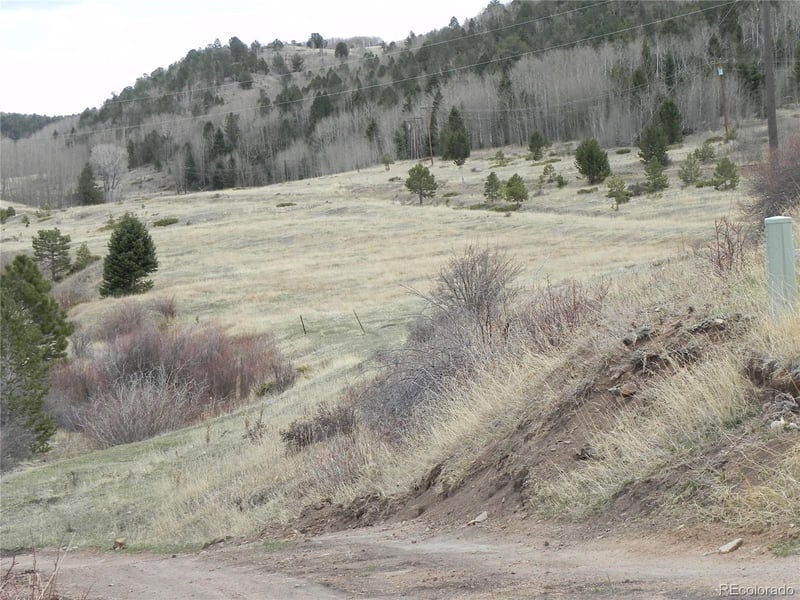 521 Monarch Dr, Cripple Creek, CO 80813