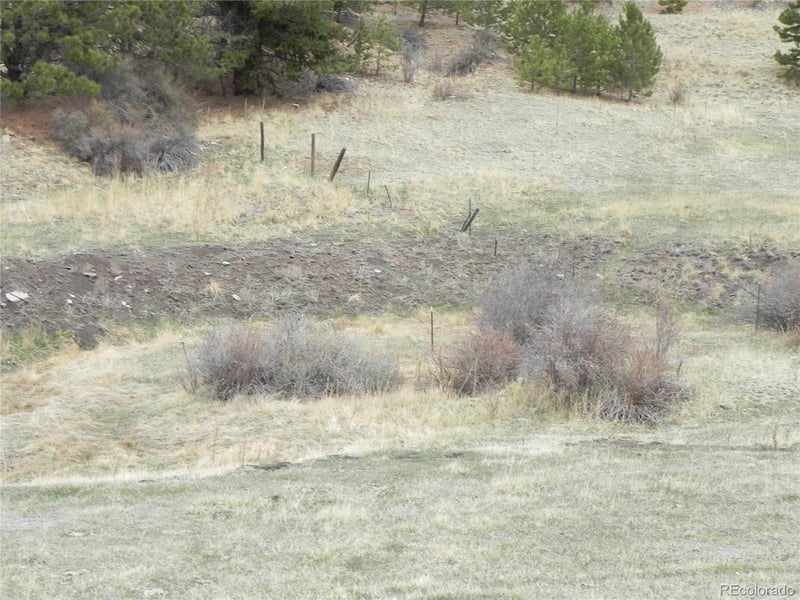 521 Monarch Dr, Cripple Creek, CO 80813