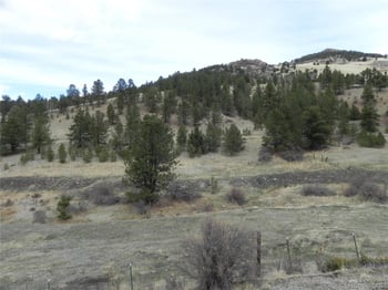 521 Monarch Dr, Cripple Creek, CO 80813