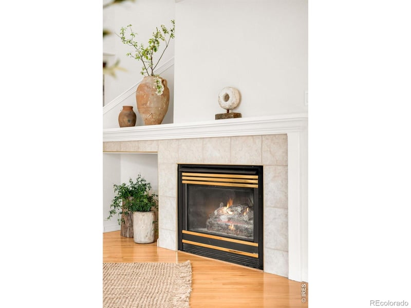 903 Hover Ridge Cir, Longmont, CO 80501