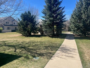 903 Hover Ridge Cir, Longmont, CO 80501