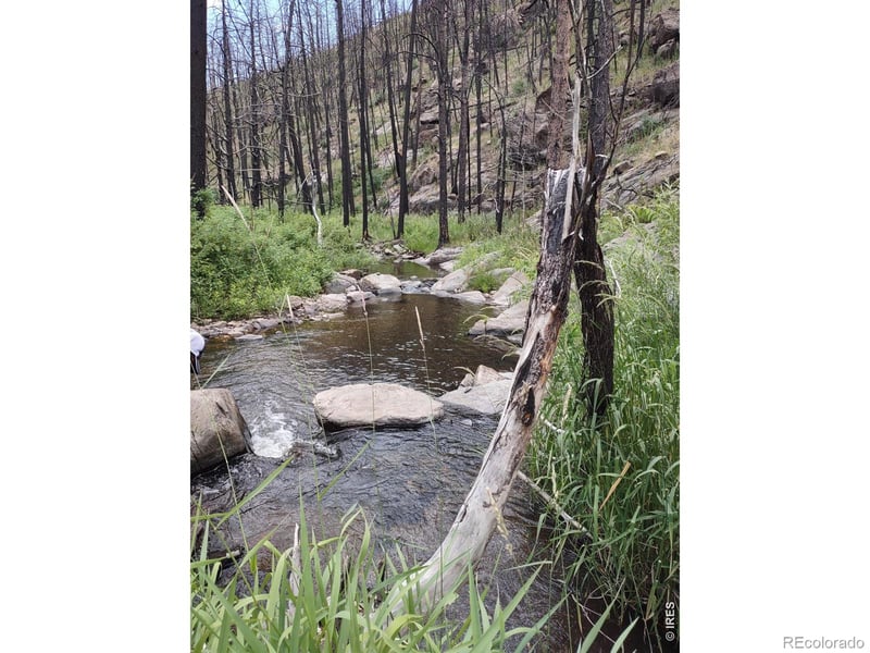 439 Redtail Ridge Way, Bellvue, CO 80512