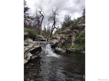 439 Redtail Ridge Way, Bellvue, CO 80512