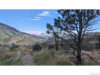 439 Redtail Ridge Way, Bellvue, CO 80512