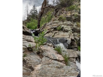 439 Redtail Ridge Way, Bellvue, CO 80512