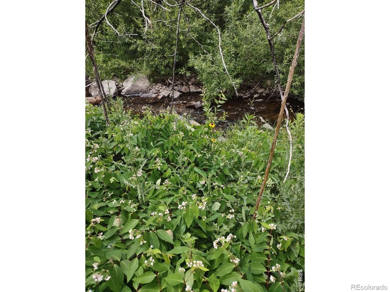 439 Redtail Ridge Way, Bellvue, CO 80512