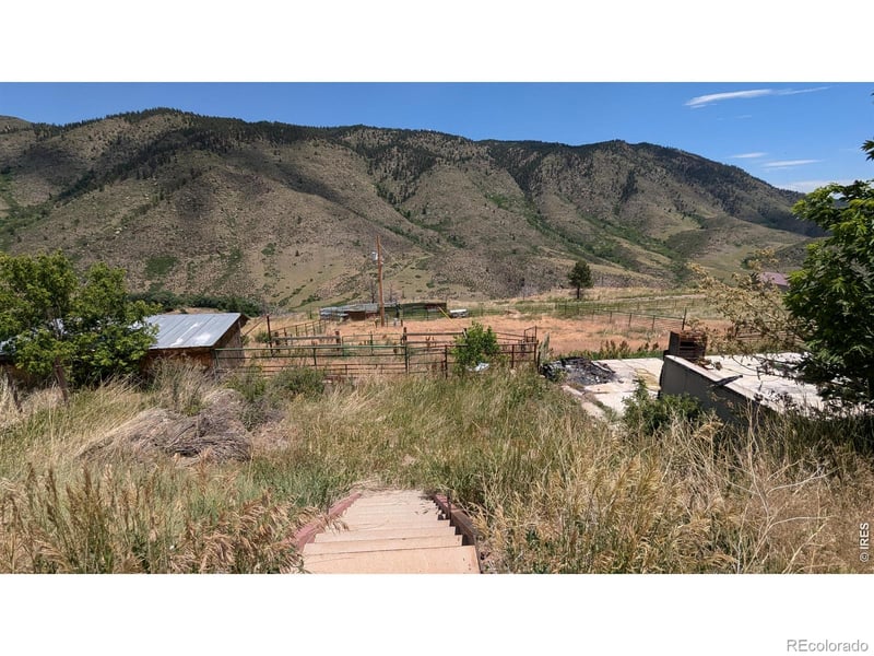 439 Redtail Ridge Way, Bellvue, CO 80512