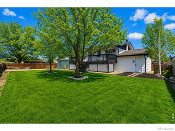 803 Table Mountain Ct, Windsor, CO 80550